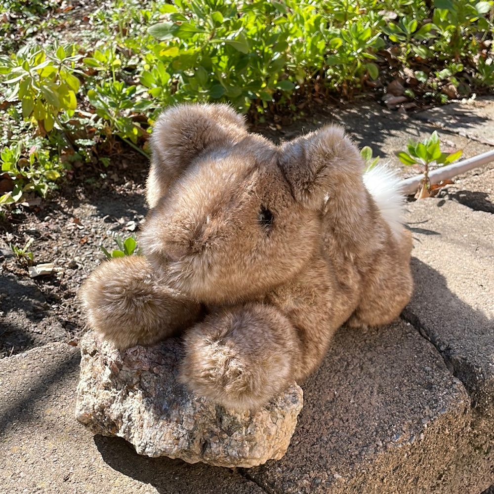 Douglas stuffed bunny